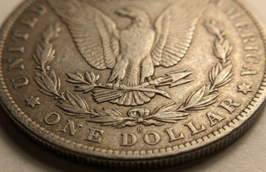 Flying Goose Dollar